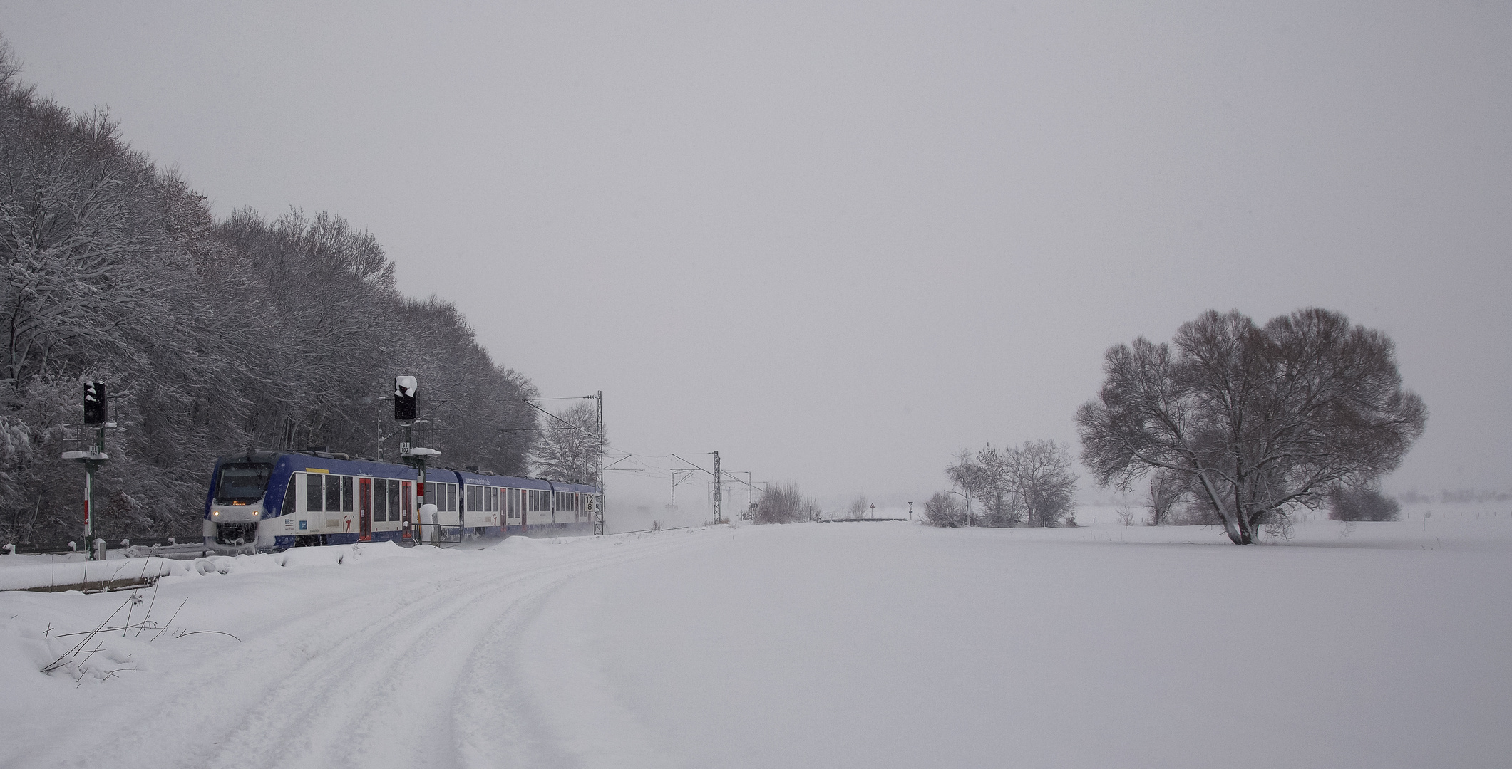 Schneelandschaft