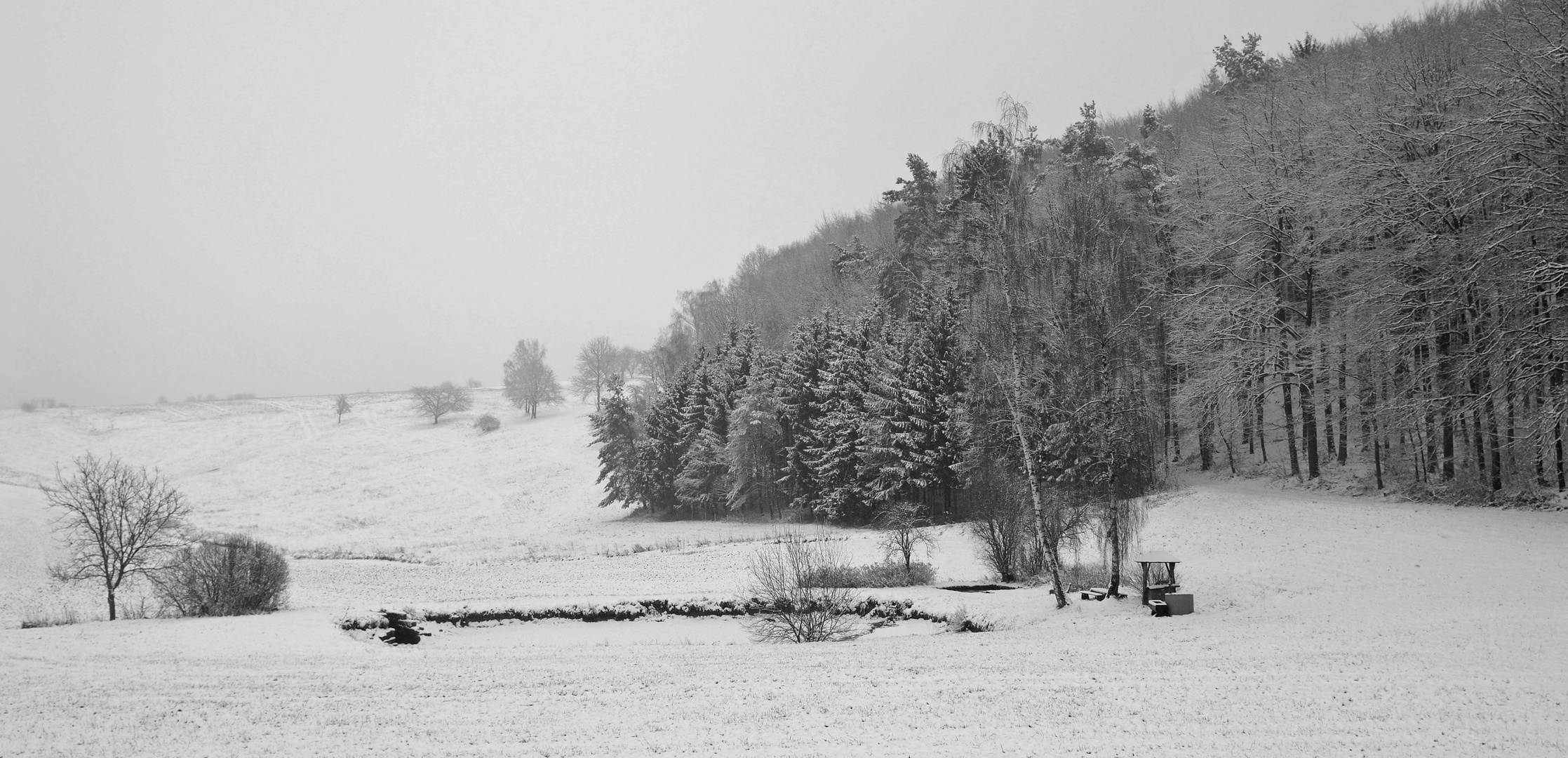 Schneelandschaft