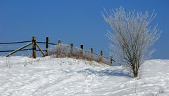 Schneelandschaft