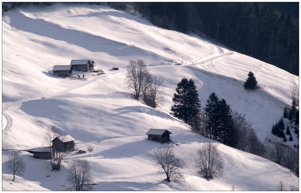 Schneelandschaft