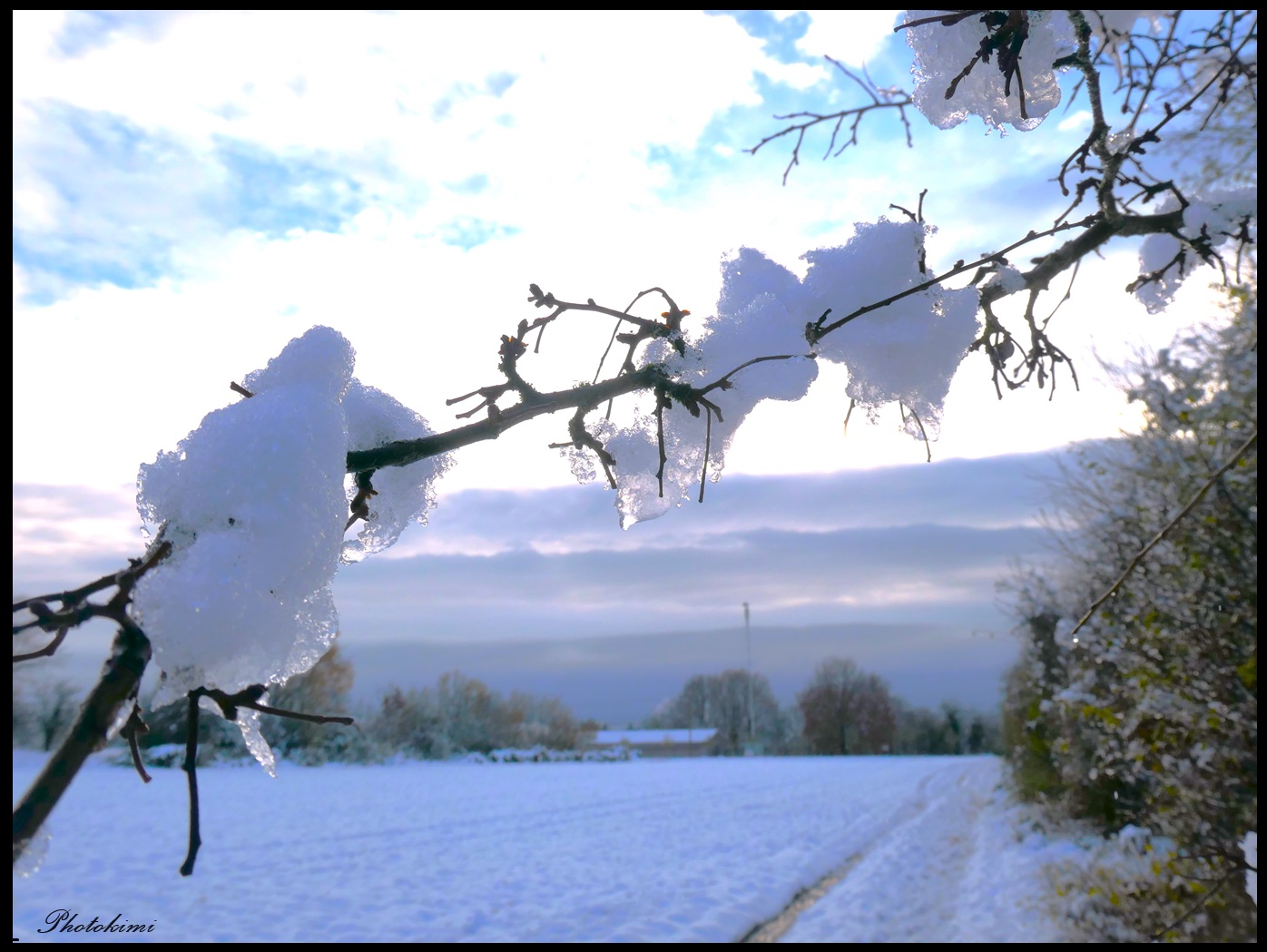 Schneelandschaft