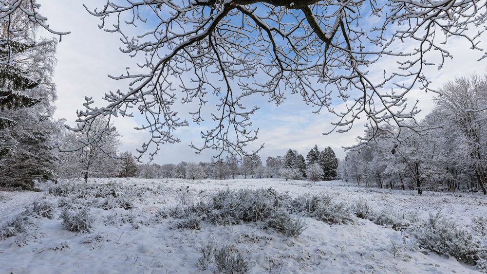 schneelandschaft