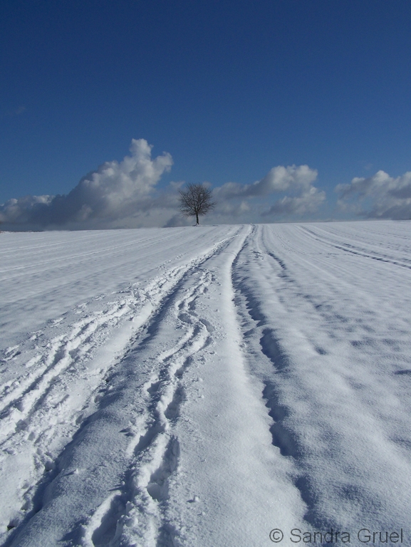 Schneelandschaft