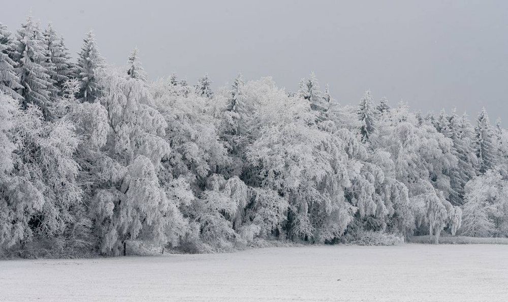 Schneelandschaft Erzgebirge