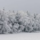 Schneelandschaft Erzgebirge