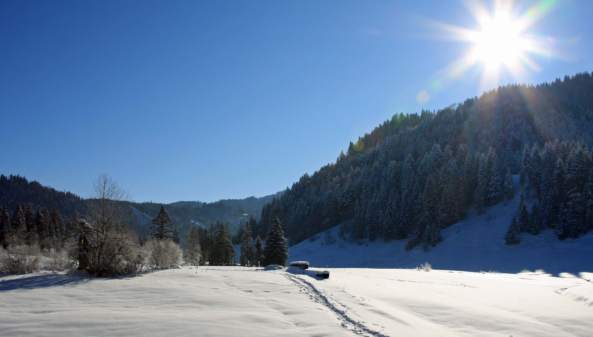 Schneelandschaft