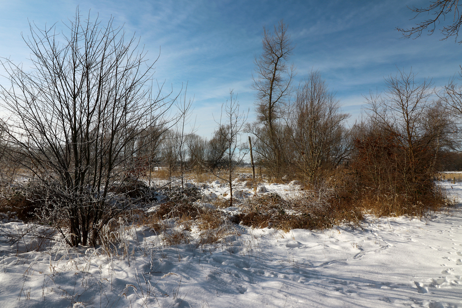 Schneelandschaft