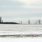 Schneelandschaft