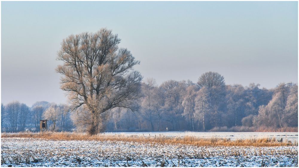 Schneelandschaft