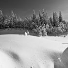 Schneelandschaft französischer Jura