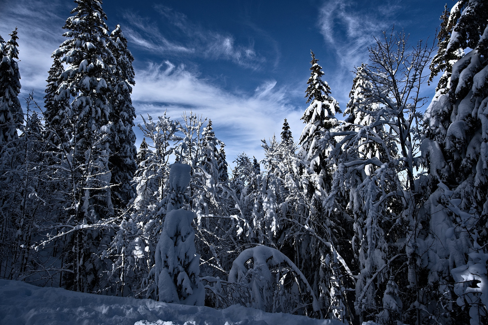 Schneelandschaft französischer Jura