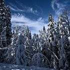 Schneelandschaft französischer Jura