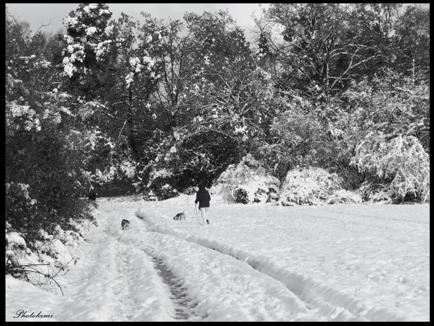 Schneelandschaft (II)