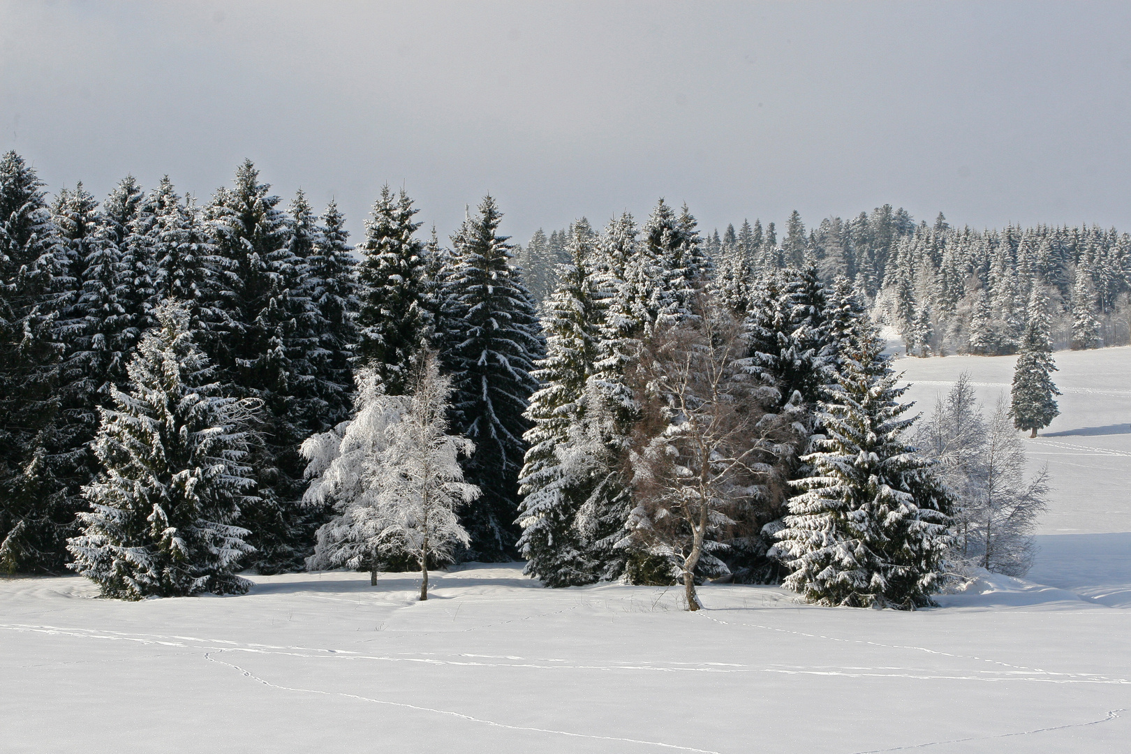 Schneelandschaft II