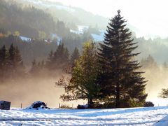 Schneelandschaft im Allgäu