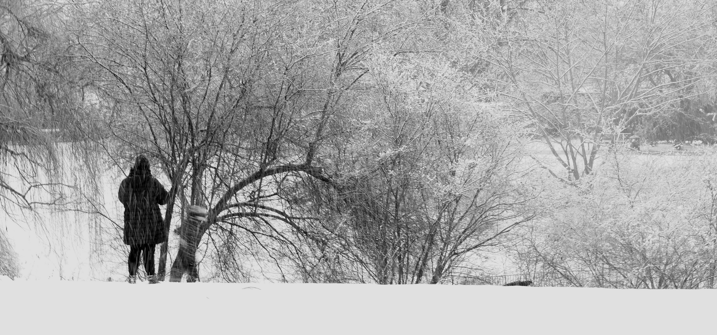 Schneelandschaft im Grüngürtel Köln