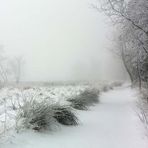 Schneelandschaft im Hohen Venn