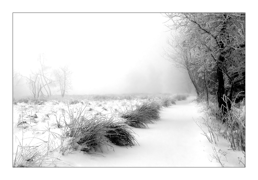 Schneelandschaft im Hohen Venn [Reload]