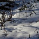 Schneelandschaft im Kleinen