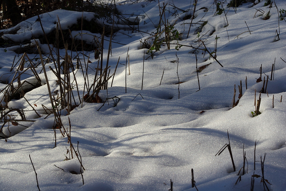 Schneelandschaft im Kleinen