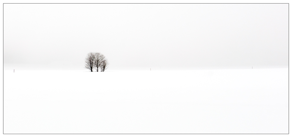 Schneelandschaft im Schwarzwald