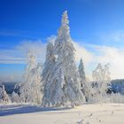 Schneelandschaft im Schwarzwald