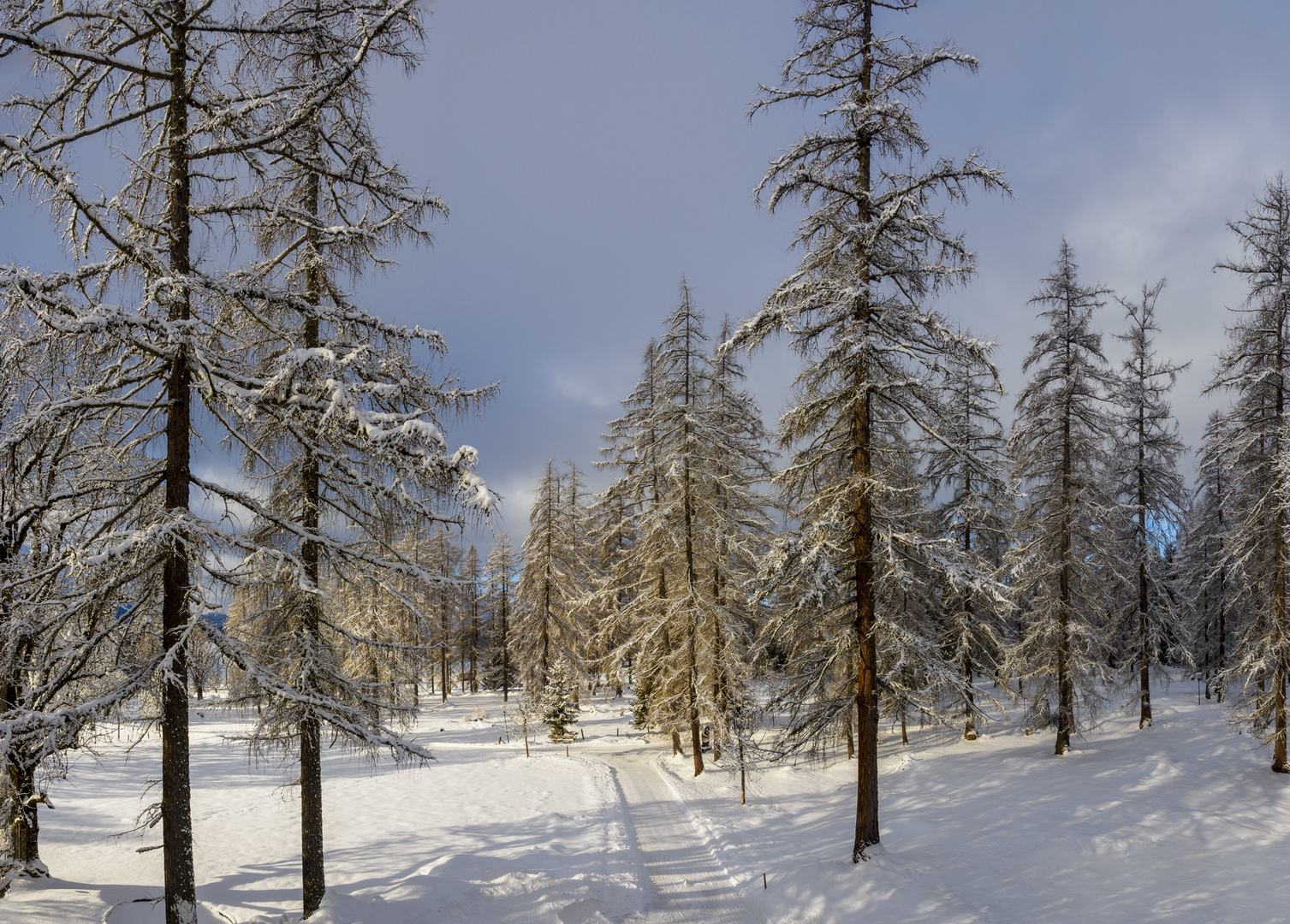 Schneelandschaft im Sonnenglanz