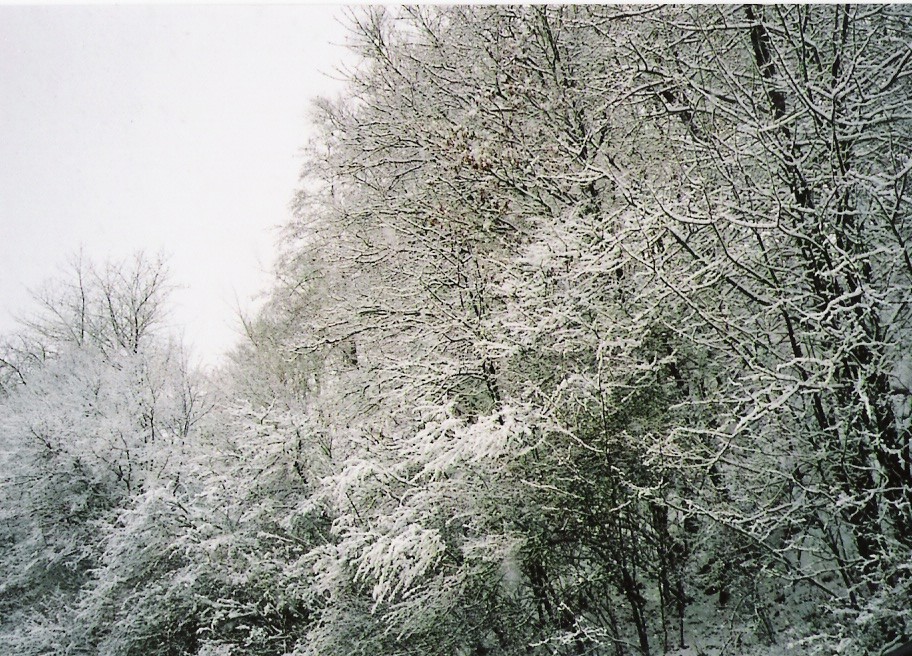 Schneelandschaft im Stau