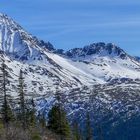 Schneelandschaft in Alaska