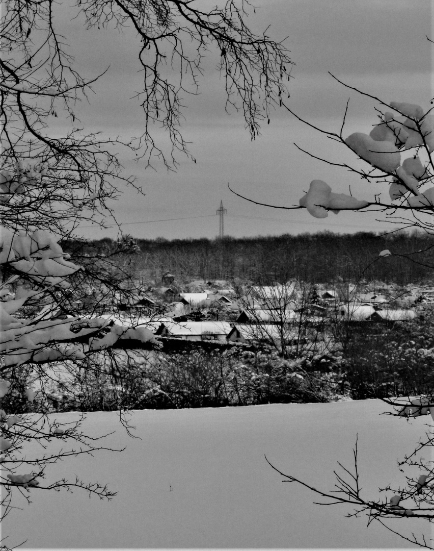 Schneelandschaft in den Mittelgebirgen??? - Winter 2010 in Münster!