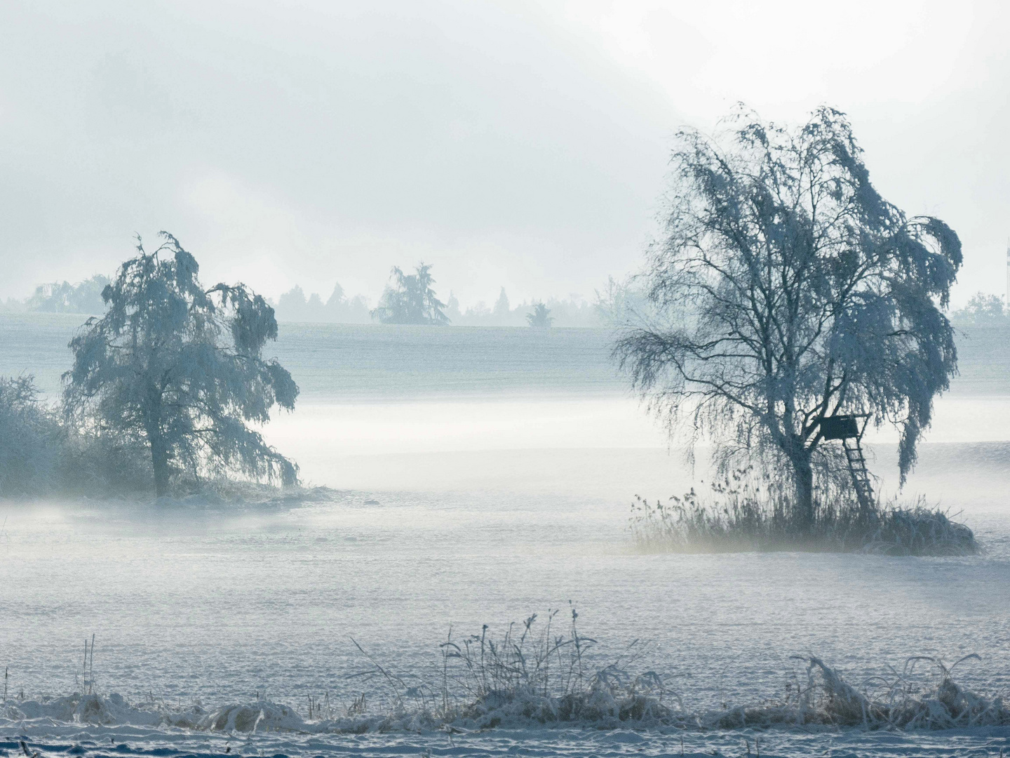 Schneelandschaft in diffusem Licht