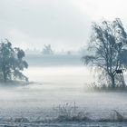 Schneelandschaft in diffusem Licht