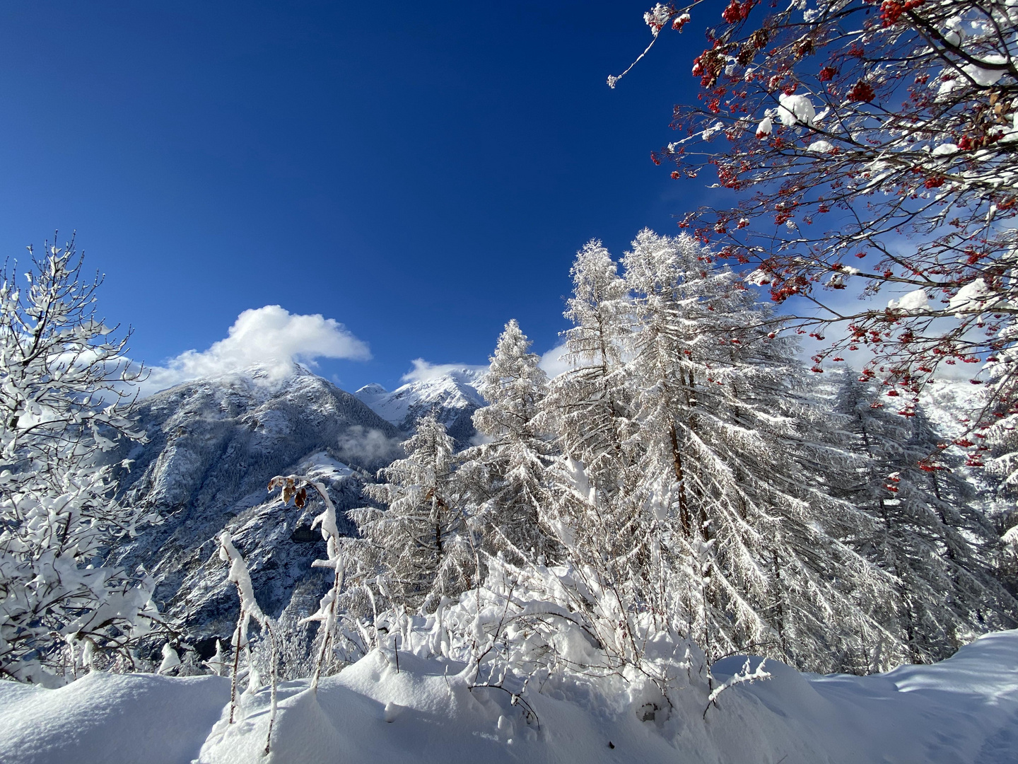 Schneelandschaft in Grächen