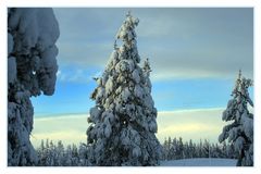 Schneelandschaft in Lappland