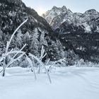 Schneelandschaft in Lavant - Osttirol