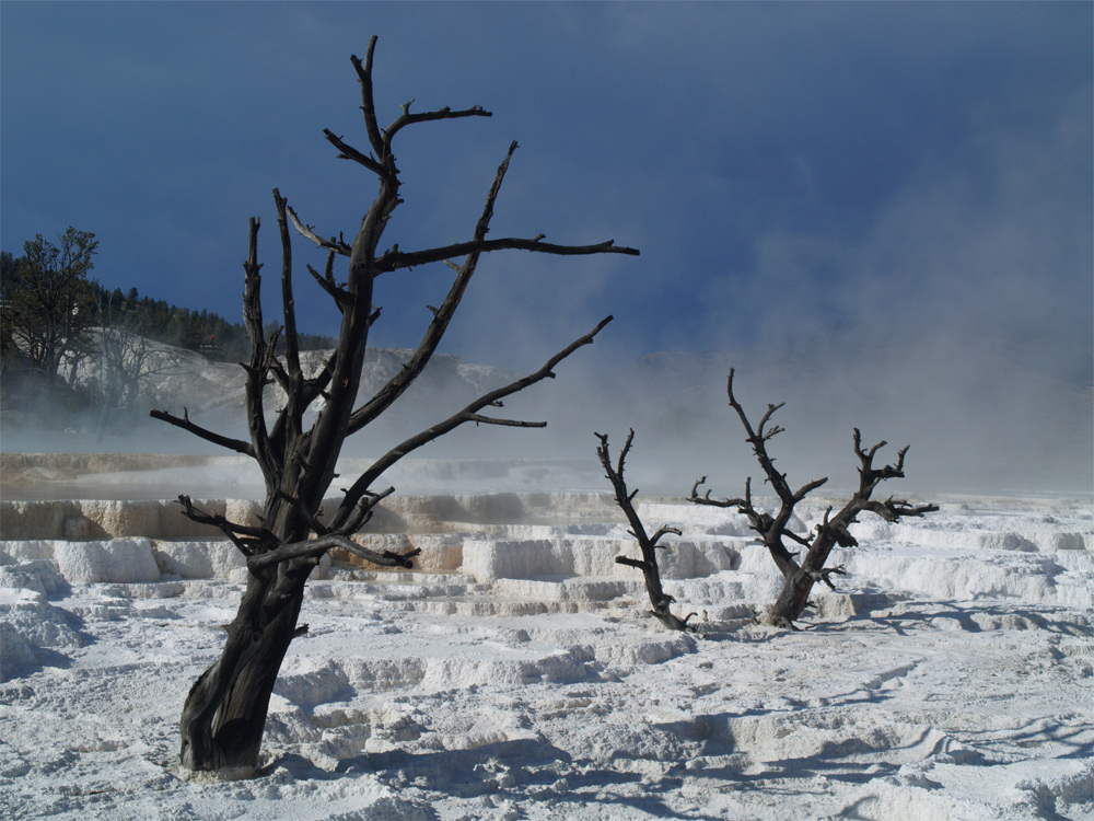 "Schneelandschaft" in Mammoth Hot Springs