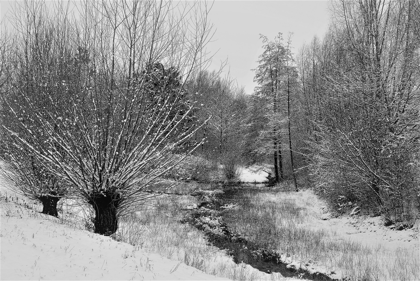 Schneelandschaft in schwarzweiß