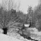 Schneelandschaft in schwarzweiß