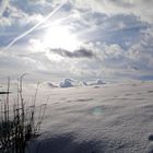 Schneelandschaft mit Busch