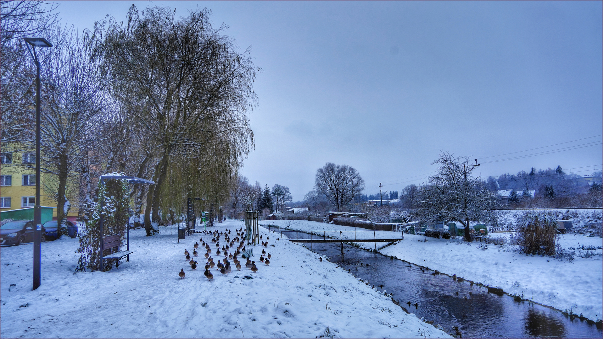 Schneelandschaft mit Enten ....