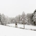 Schneelandschaft mit Hochsitz