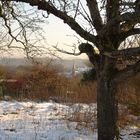 Schneelandschaft mit Kirchturm