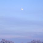 Schneelandschaft mit Mond