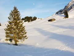 Schneelandschaft mit Mond