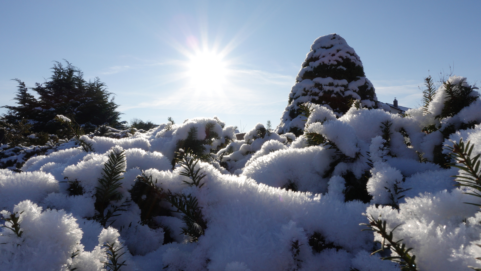 Schneelandschaft mit Sonne