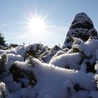 Schneelandschaft mit Sonne