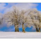 Schneelandschaft - nach der Hitze