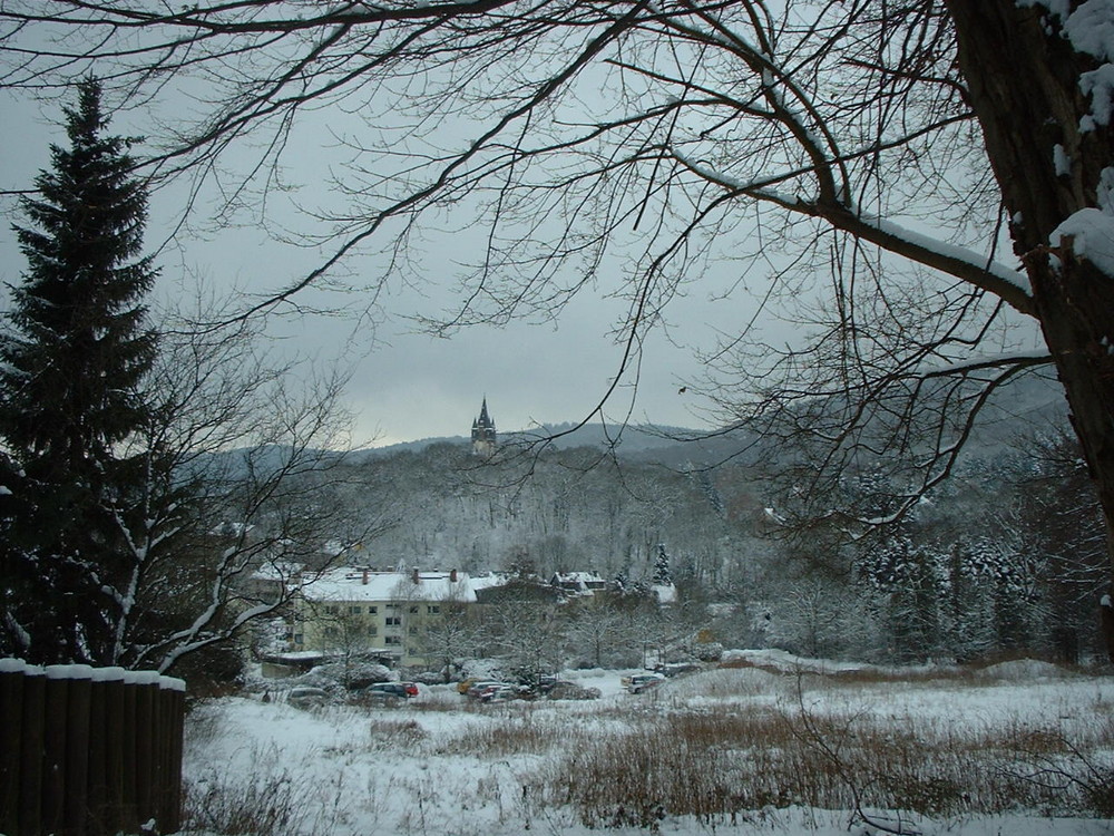 Schneelandschaft nähe Feldberg Ts.