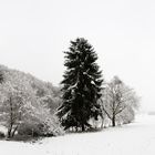 Schneelandschaft Rundumblick