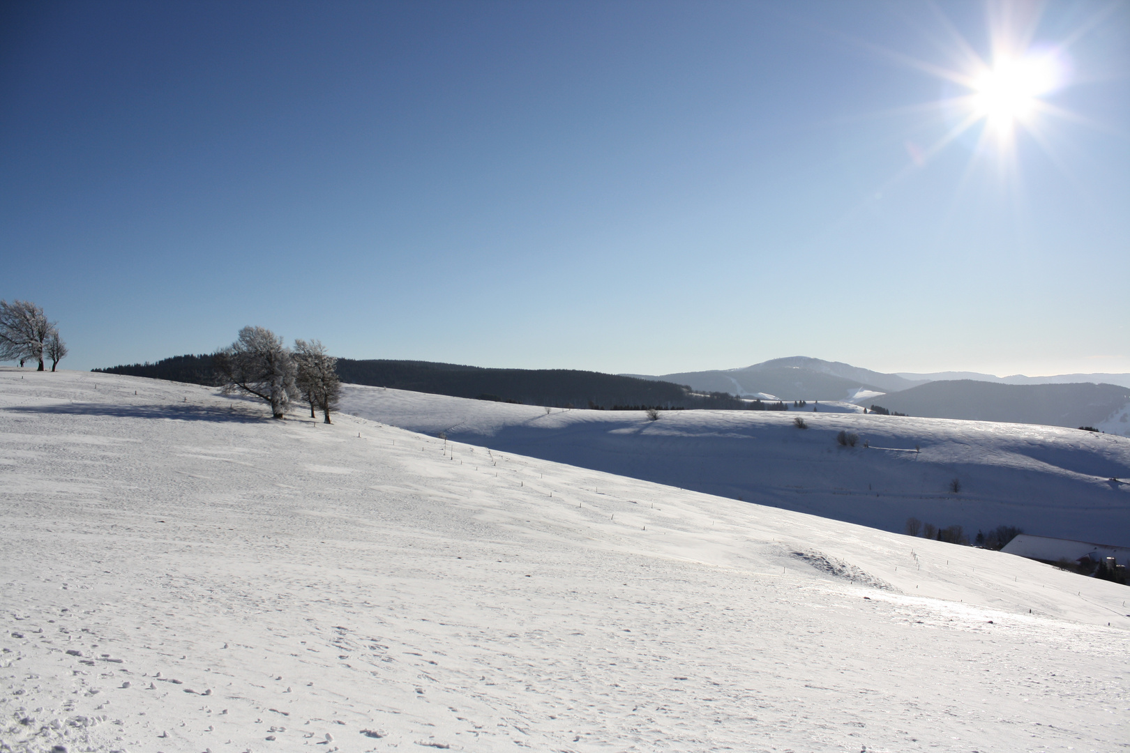 Schneelandschaft Schwarzwald (Schauinsland)